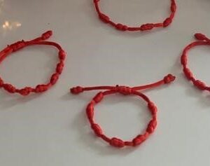 e5af9c8c 3deb 4386 be5b 9fe2e693cefc 1 300x237 - Pulserita protección roja